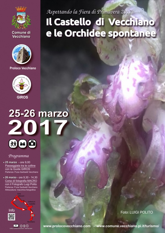 Il Castello di Vecchiano e le Orchidee spontanee